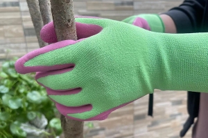 GARDEN & ECO